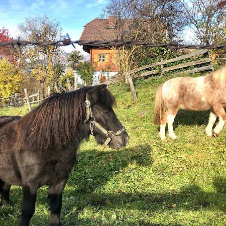Готель Feielhof Krakaudorf Екстер'єр фото